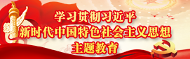 学习贯彻习近平新时代中国特色社会主义思想主题教育